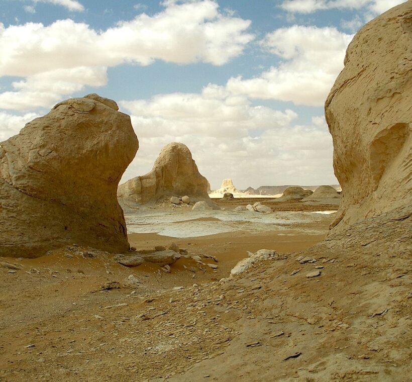 Safari au Désert Blanc