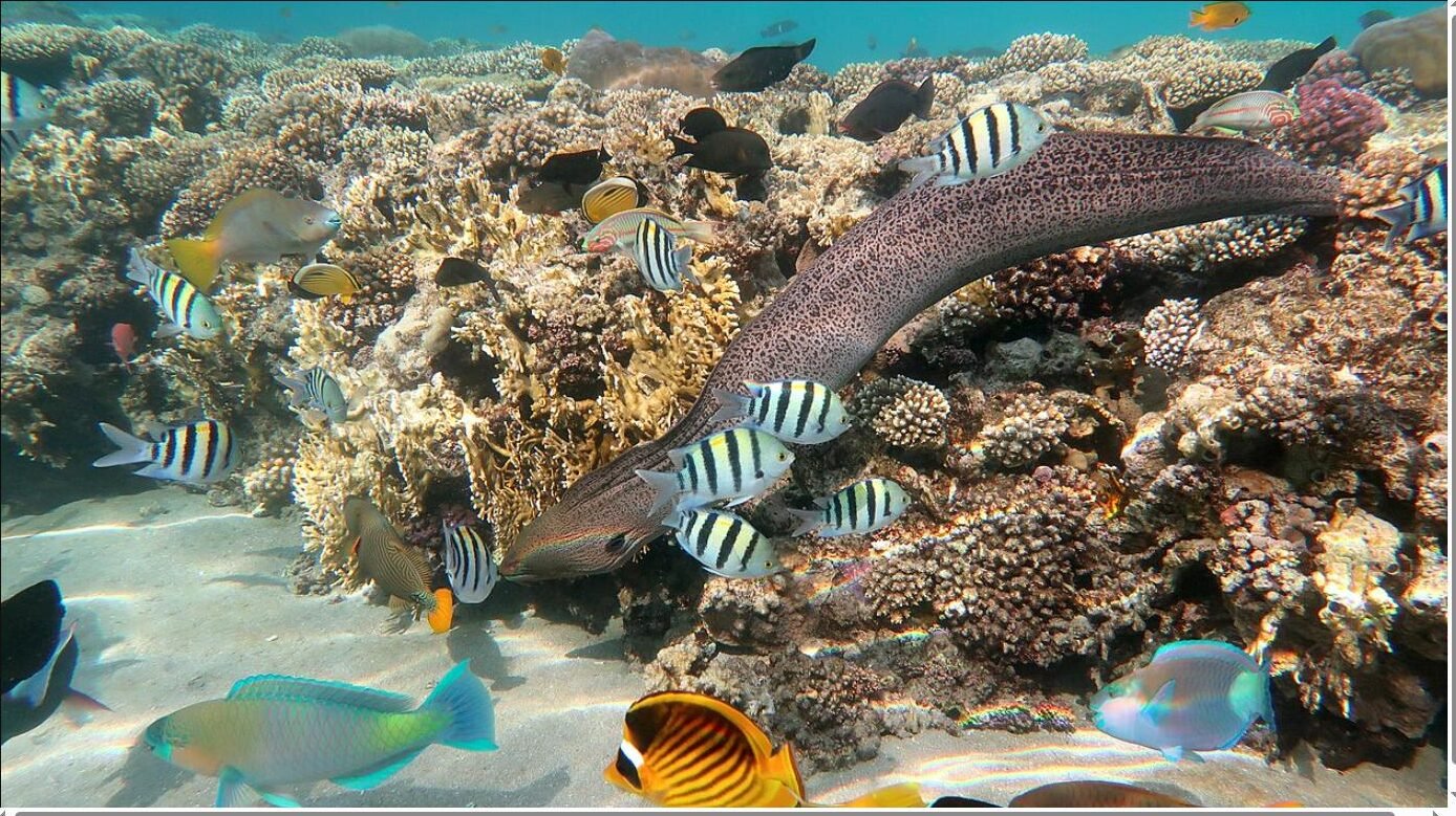 Marsa Alam