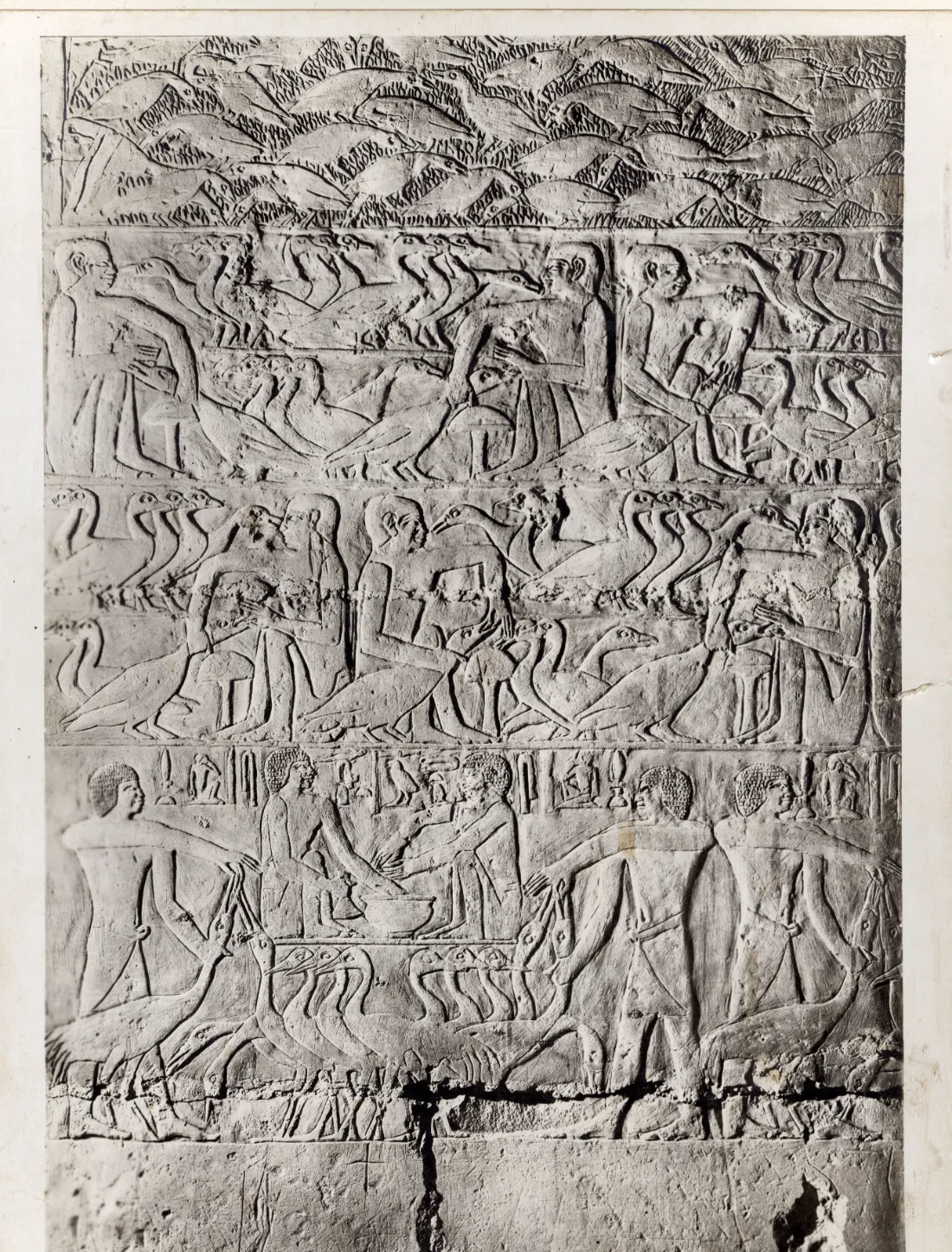 Reliefs d'un mastaba à Saqqarah illustrant des scènes de la vie quotidienne en Égypte