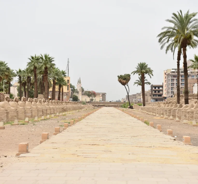 Circuit Louxor : allée des sphinx menant au temple de Louxor