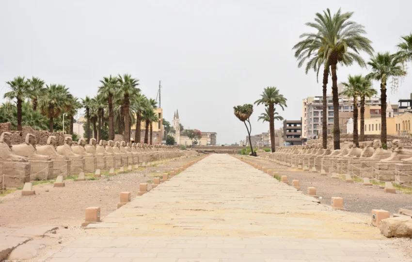 Circuit Louxor : allée des sphinx menant au temple de Louxor