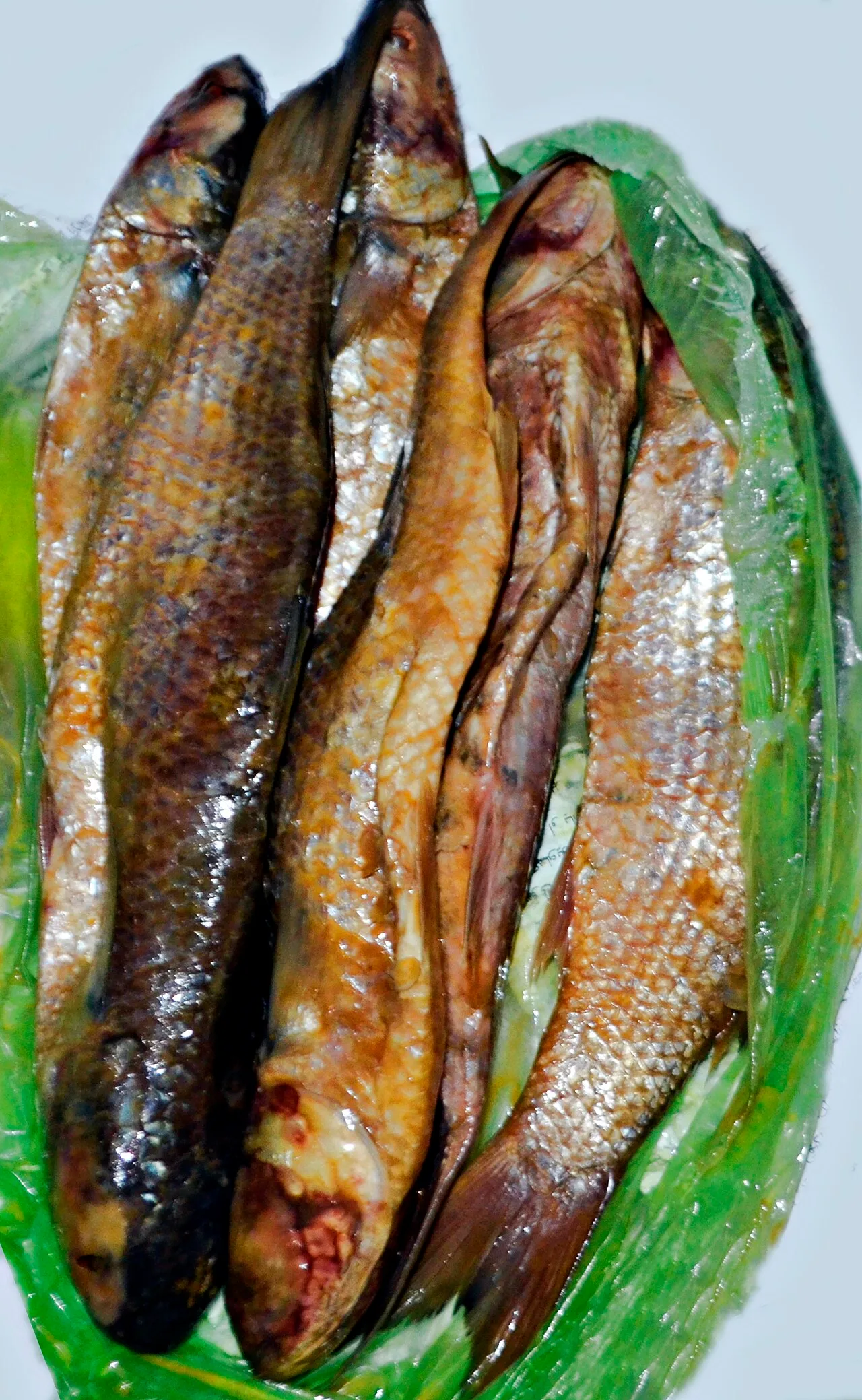 Feseekh, poisson salé traditionnel de Sham El-Nessim en Égypte