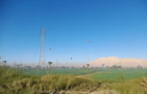 Gallery Thumbnail 7