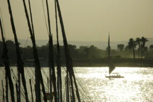 Gallery Thumbnail 7