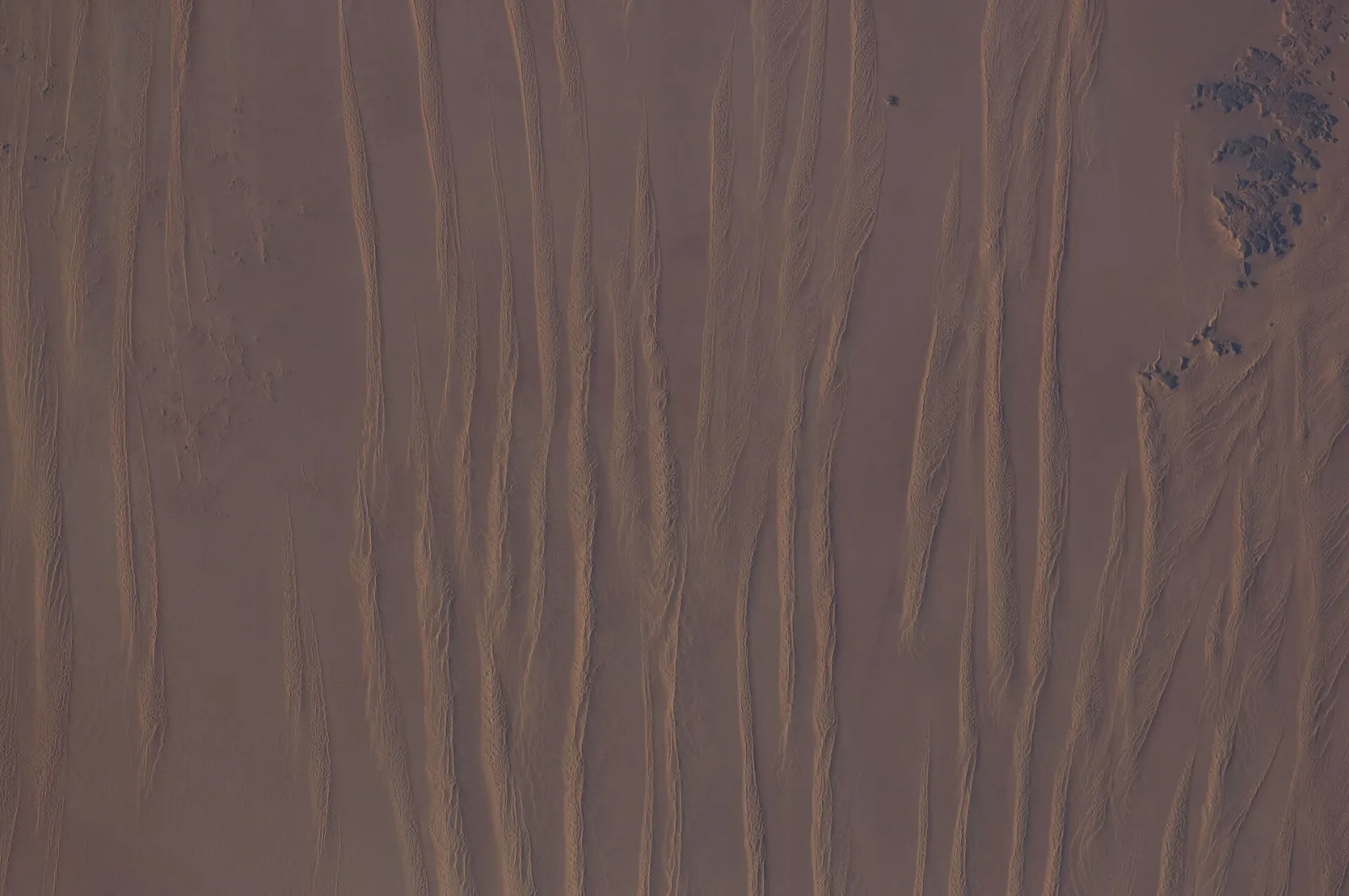 La Grande Mer de Sable près de Siwa