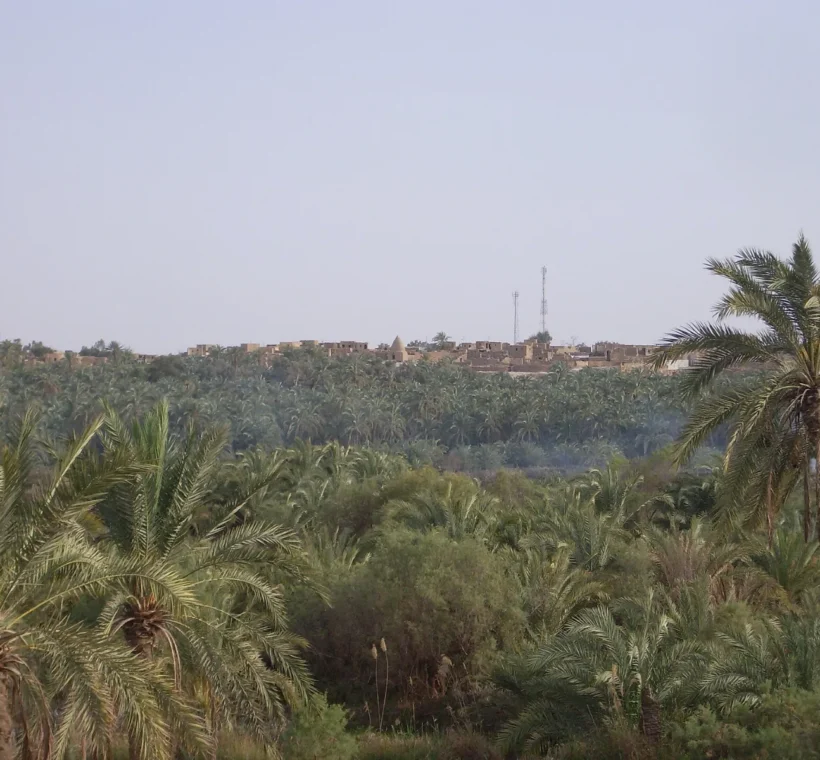 L’oasis de Bahariya, porte du désert blanc