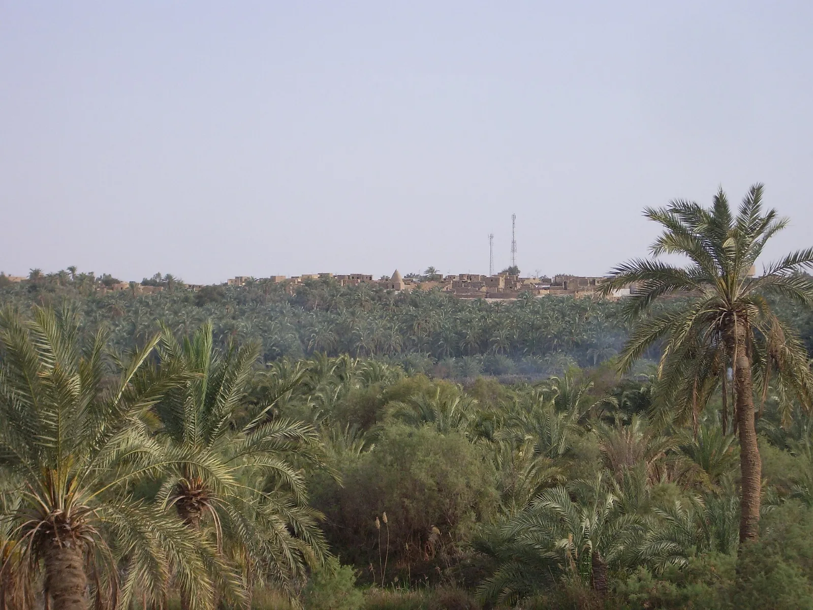 L’oasis de Bahariya, porte du désert blanc