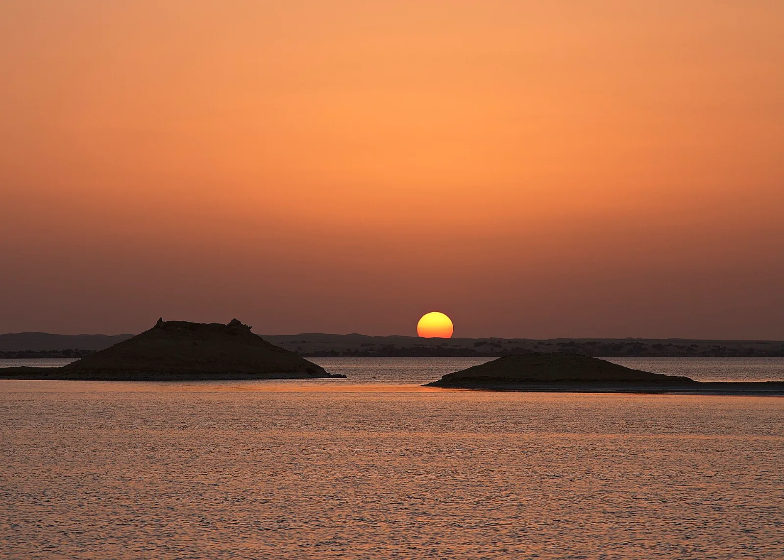 La palmeraie de l&rsquo;oasis de Siwa
