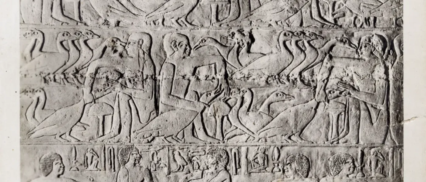 nécropole de Saqqarah, mastaba de Mérérouka
