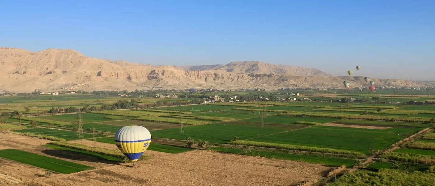 Montgolfière survolant les champs verdoyants et la vallée du Nil à Louxor au lever du soleil